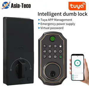 Tuya APP Anti-Tampering Fingerprint Smart Door Lock, Wireless Electronic Keyless Entry, Supports Mechanical Keys/APP/password/fingerprint Unlock