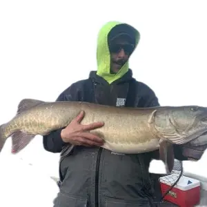 Goffs Grinders Bucktails Musky Fishing Lures - Catch the Fish 10,000 Cast Vibrant Design for Freshwater Fishing, Big Fish Lures