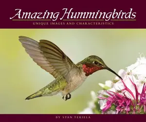 USED-Amazing Hummingbirds: Unique Images and Characteristics by Tekiela, Stan (Paperback)