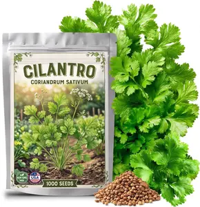 1000+ Cilantro Seeds for Planting - Heirloom Non-GMO Herb Seeds in Premium Protective Packaging - AKA Coriander, Parsley, Coriandrum Sativum