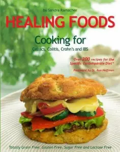 USED-Healing Foods: Cooking for Celiacs, Colitis, Crohn's and IBS by Elephant Publishing (Paperback)