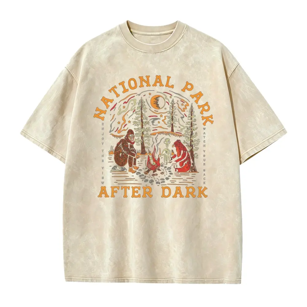 National Park After Dark Shirt, Bigfoot UFO Camping Tee, Cryptid Campfire Shirt, Sasquatch Alien Bear Comfort Colors Tee
