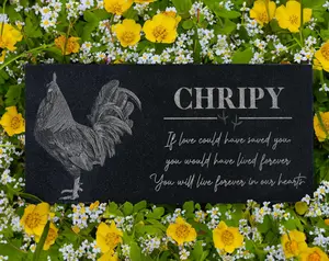 Loss of a Chicken Gift: Rooster and Hen Memorial, Plaque for Farm Lovers, Chicken Passing Away Gift, Farmhouse Decor, Chicken Mom, Pet Loss