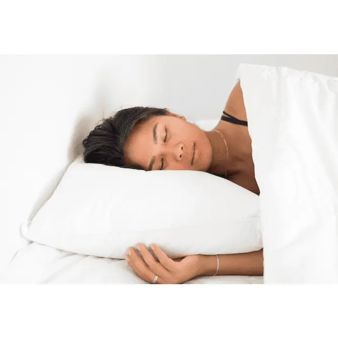 Pillowtex White Duck Down & Feather Pillow | 90% Down