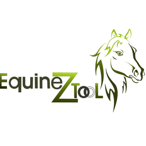 Equinez Tools Corp