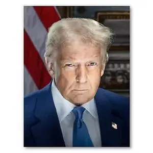 Donald Trump Official Presidential Portrait Photo Picture Poster Print Wall Art