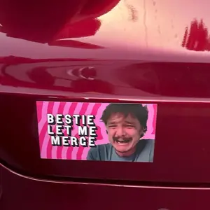 Car Bumper Sticker, Funny Meme Car Sticker, Universal Car Sticker, Weatherproof Car Vinyl Sticker, Car Decals for Car, Auto, Motorcar, Windows, Truck, Laptop, Sticker For Cars