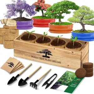 Bonsai Tree Starter Kit with 4 Bonsai Tree Seeds, Tools & Planters - Indoor Gardening Gift for Plant Lovers, Unique Christmas Gifts