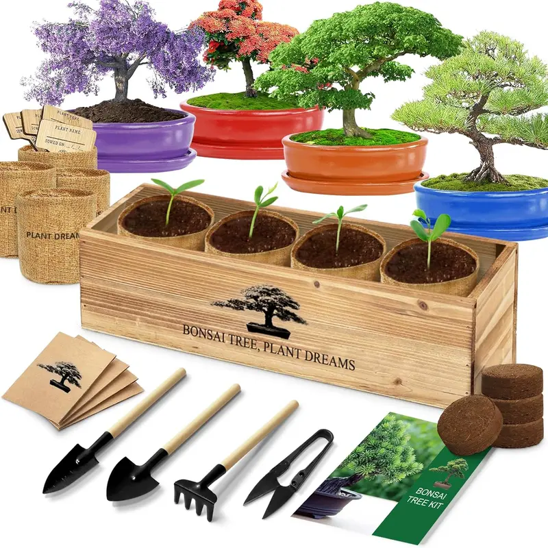 Bonsai Tree Starter Kit Complete Plant Growing Set w7 Bonsai SeedsToolsSoil  - TikTok Shop