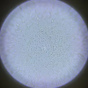 Magnifier Pro: Private, Simple, Reusable Base with Disposable Lens