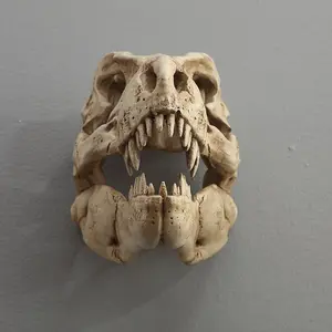 3D Resin Dinosaur Head Wall Hanging Ornament Home Decoration for Living Room Restaurant Theme Party