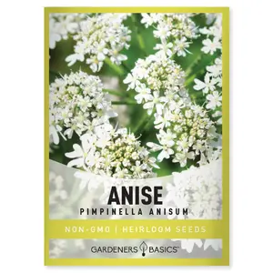 Anise Seeds