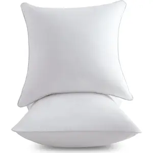 18 x 18 Pillow Inserts (Set of 2) - 18 Inch Square Interior Sofa Throw Pillow with   Cover - Decorative Pillow Insert Pair - White Couch Pillow