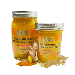 Ginger Turmeric Gold Sea Moss Gel
