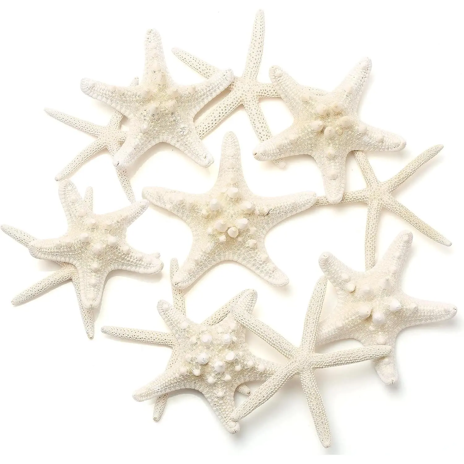 12 count Starfish | 2.5-6 Inch Starfish Decor |  Bulk Starfish Shells  for Crafts Making Beach Theme Party Wedding Decoration,  Wall Decor, Christmas Ornaments, Fish