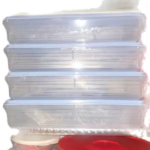 Snack N Stor Large Tupperware container