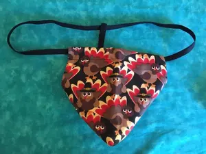 Mens THANKSGIVING DAY TURKEY Holiday Gstring Thong Male Underwear