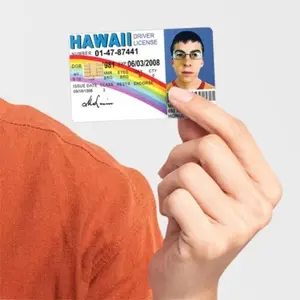 4Pcs debit card appearance stickers parody fake driver's license credit card stickers protect fun card decorations