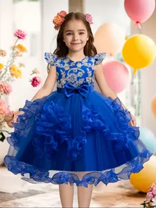 Girls' Princess Dress Party Birthday Performance Costume, Butterfly Sleeve Piano Recital Cake Mesh Dresses