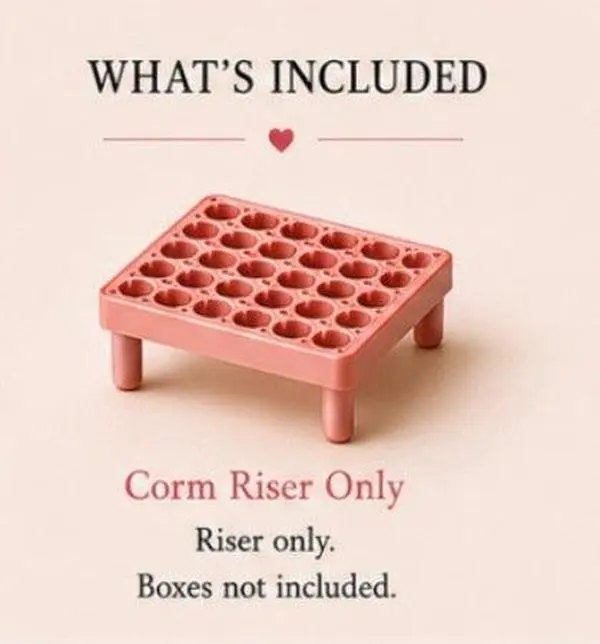 💛Square Corm Risers ONLY | Set of 10