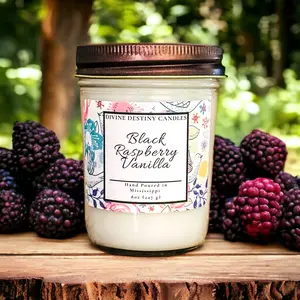 Black Raspberry Vanilla 8 oz Candle