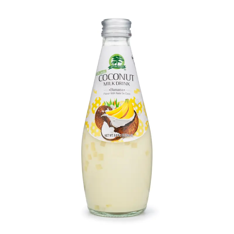 Coconut Milk Drink Banana Flavor 9.8 oz Dairy Protein