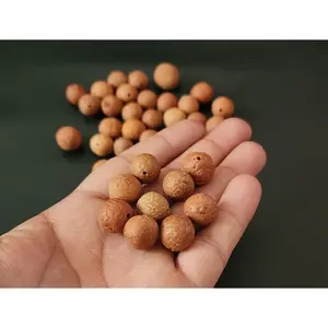 Phoenix Eye Real Nepali Bodhi Seed Beads | Natural Buddhachitta Buddha Prayer Bead For Yoga & Mindfulness, Prayer Beads