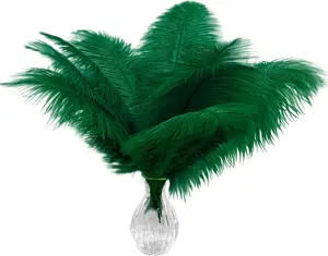 20pcs Natural Blackish Green Ostrich Feathers 10-12 inch (25-30cm) Bulk Feathers for Home Decoration and DIY Clothing and DIY Clothes Decoration, Gatsby Decorations