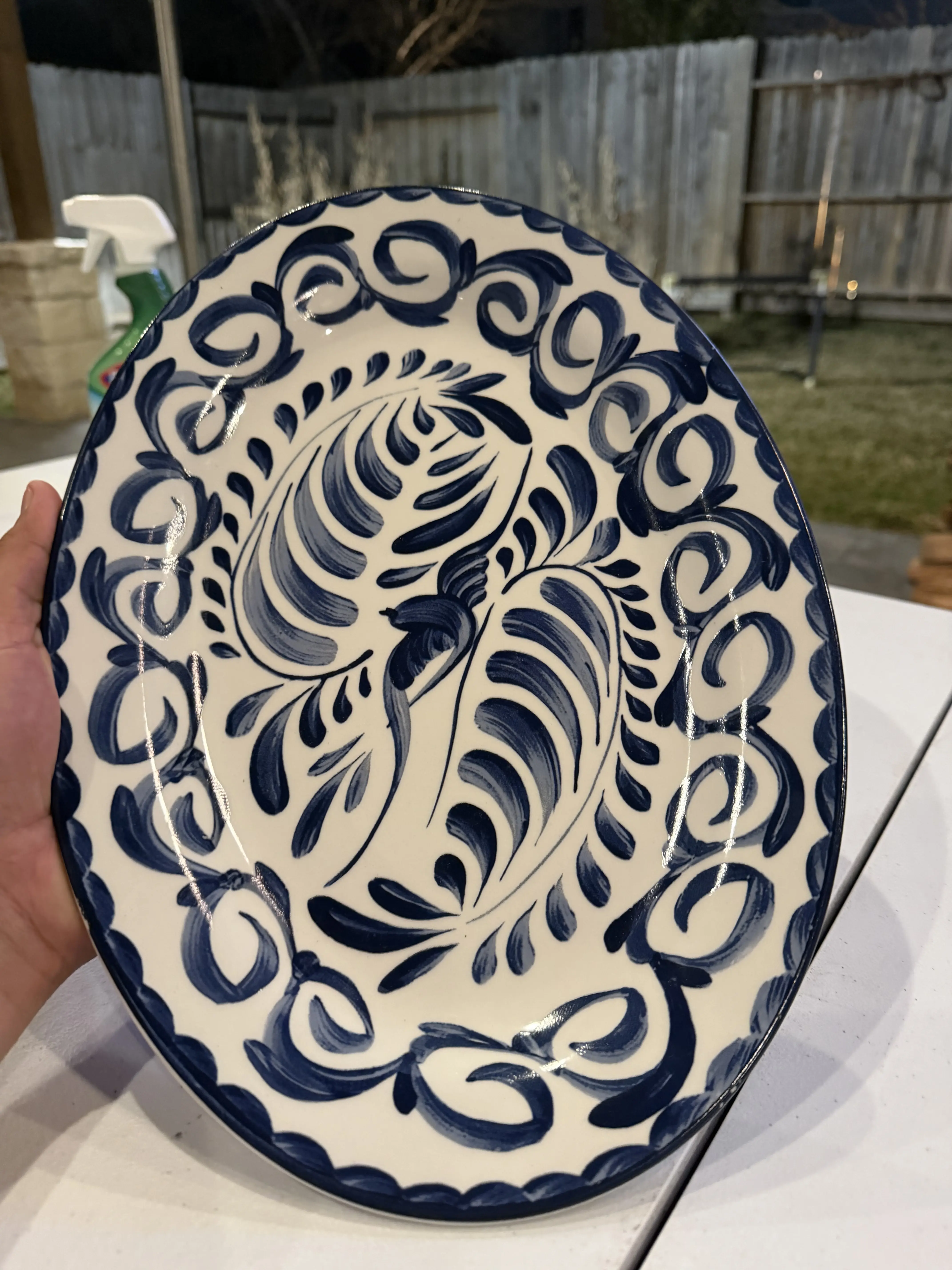 Restaurant Grade Dinner Plates