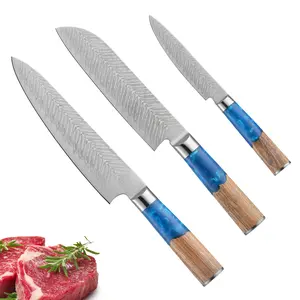 Resin composite handle, Damascus fish scale pattern blade, fruit knife, chef's knife, sanitary knife, holiday gift