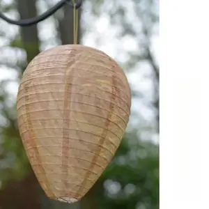 Wasp Deterrent Hives 2 Decoy Nests for Wasps & Yellowjackets Outdoor Garden Wood Protection Natural Wax Paper Collapsible Design