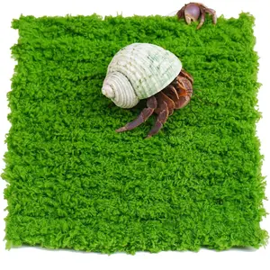 Hermit Crab Climbing Wall 6 Inch Adjustable Hermit Crab Supplies for Hermit Crab Tank