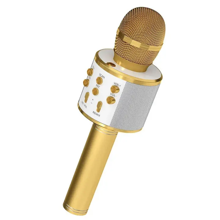 5 Core Microphone Wireless Karaoke Mic With Speaker 3 in 1 Portable Bluetooth Microfono Inalambrico