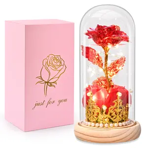 Valentine's Flower Gifts for Women, Rose in Glass Dome with Lights ,Light up Rose Anniversary Romantic Gift for her,Birthday Gifts for Women,Mom,Wife,Girlfriend,  Red Rose and crown