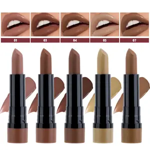 5pcs Chocolate Matte Lipstick Lipstick Kit, Velvet Frosted Non-Sticky Lipstick Kit