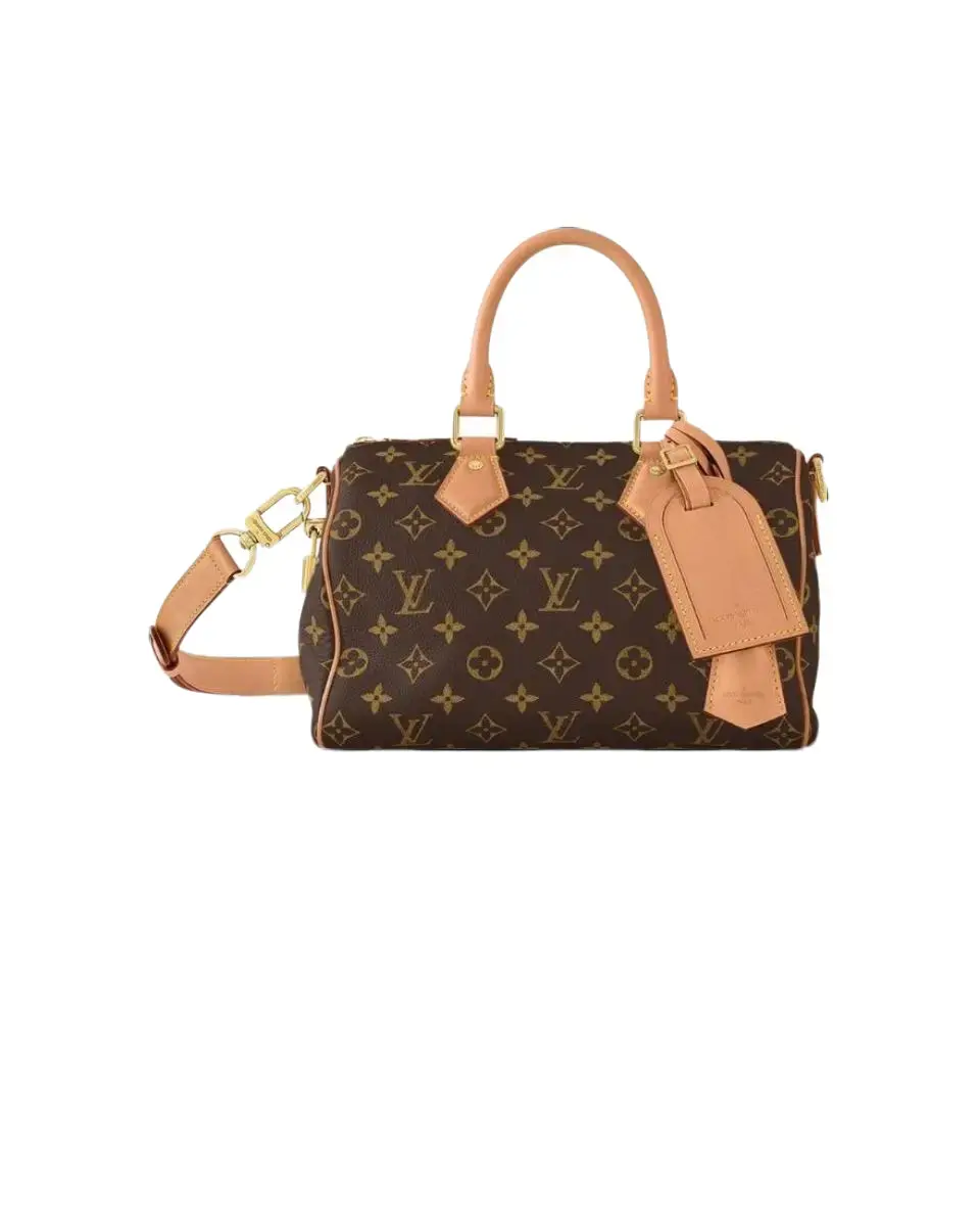 Pre-owned Louis Vuitton Speedy25 Monogram