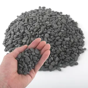 5 lbs Mexican Beach Pebbles, 0.3-0.6 Inch Small Pebbles for Pots Indoor , Succulent, Vase, Fish Tank, Decorative River Rocks for Garden Landscaping, Home Decor, Outdoor Paving, Grey