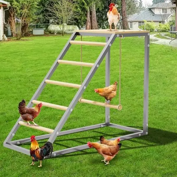 Outdoor Free-Standing Multi-Chicken Perch Supplies, 37.6" L x 15.7" W x 27.5" Tall Roost, Smooth Wood Bars, Sturdy Metal-Wood Build, Removable Swing, Ladder Design, Easy Installation, Wipes Clean Fast for Backyard Farm Coops