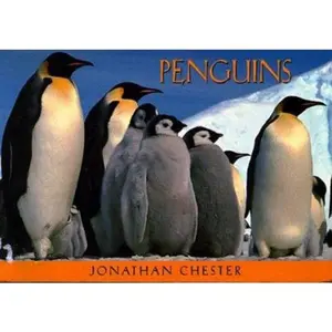 USED-Penguins: 23 Postcards by Jonathan Chester (Cards)