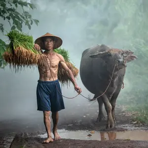 background preload poster image 