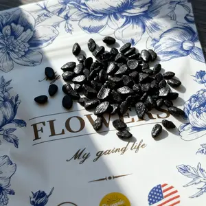 300 Premium Chive Seeds | Easy-to-Grow Herb for Garden & Kitchen