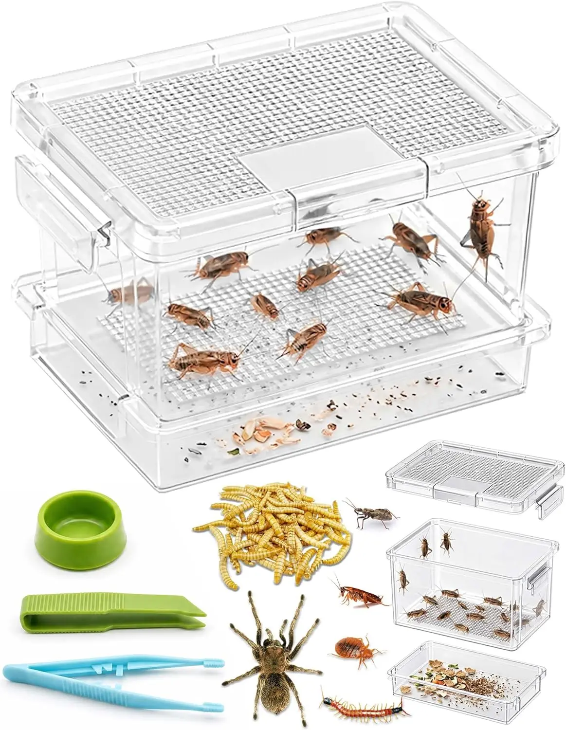 Cricket Keeper - 5.5"l x 3.6"w x 4"h Transparent Ventilated Critter Cage with Dual Lock System, Independent Feeding Door, No Assembly Required for Reptile Live Feeder Insects (Crickets, Dubia Roaches, Mealworms)