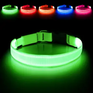 LED Dog Collar - Rechargeable USB Glow in the Dark Pet Necklace for Night Safety, Adjustable Waterproof Nylon Light Up Collar for Small Medium Large Dogs, Anti-Lost Walking Accessory