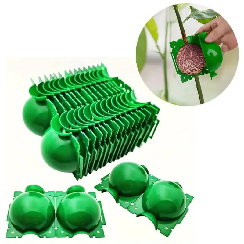 Plant Root Growing Ball, 20pcs Rooting Balls, Grafting Cuttings Root Device, Suitable for Plant Propagation, Garden Supplies