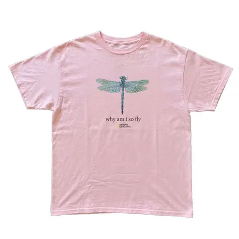 Gildan Men's and Women's T-shirt, Dragonfly  Why am i so fly Tee, Animal tee, Y2k Unisex Graphic Tees Gothic Grunge Emo Scene Amity Affliction Style Clothes Menswear Womenswear Streetwear