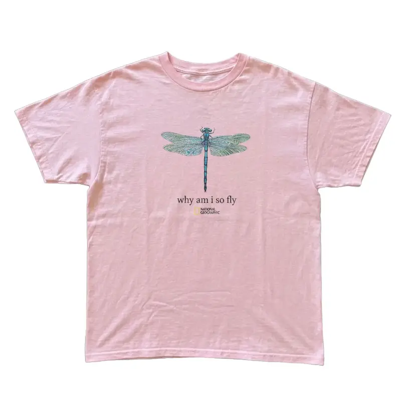 Gildan Men's and Women's T-shirt, Dragonfly Why am i so fly Tee, Animal tee, Y2k Unisex Graphic Tees Gothic Grunge Emo Scene Amity Affliction Style Clothes Menswear Womenswear Streetwear