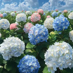 50 Pcs ydrangea Seeds Mix – Hydrangea Paniculata, Oakleaf Hydrangea, Fast-Growing Perennial Shrub – Ideal for Landscaping, Hedges, and Bonsai