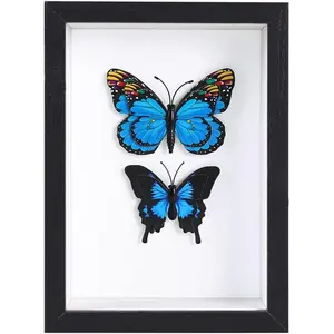 4x6 Black Small Shadow Box Frame Display Case for Photos,Flowers,Wedding Bouquets,Awards,Insects and Memorabilia