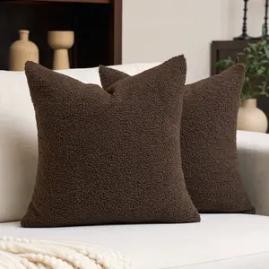 2 pieces without pillow core, suitable for all seasons. Curly Teddy wool faux fur pillowcase decoration, Morandi color Sherpa pillowcase, soft sheepskin wool cushion, home decoration, bed, sofa, pillow, living room, can also be used as a gift