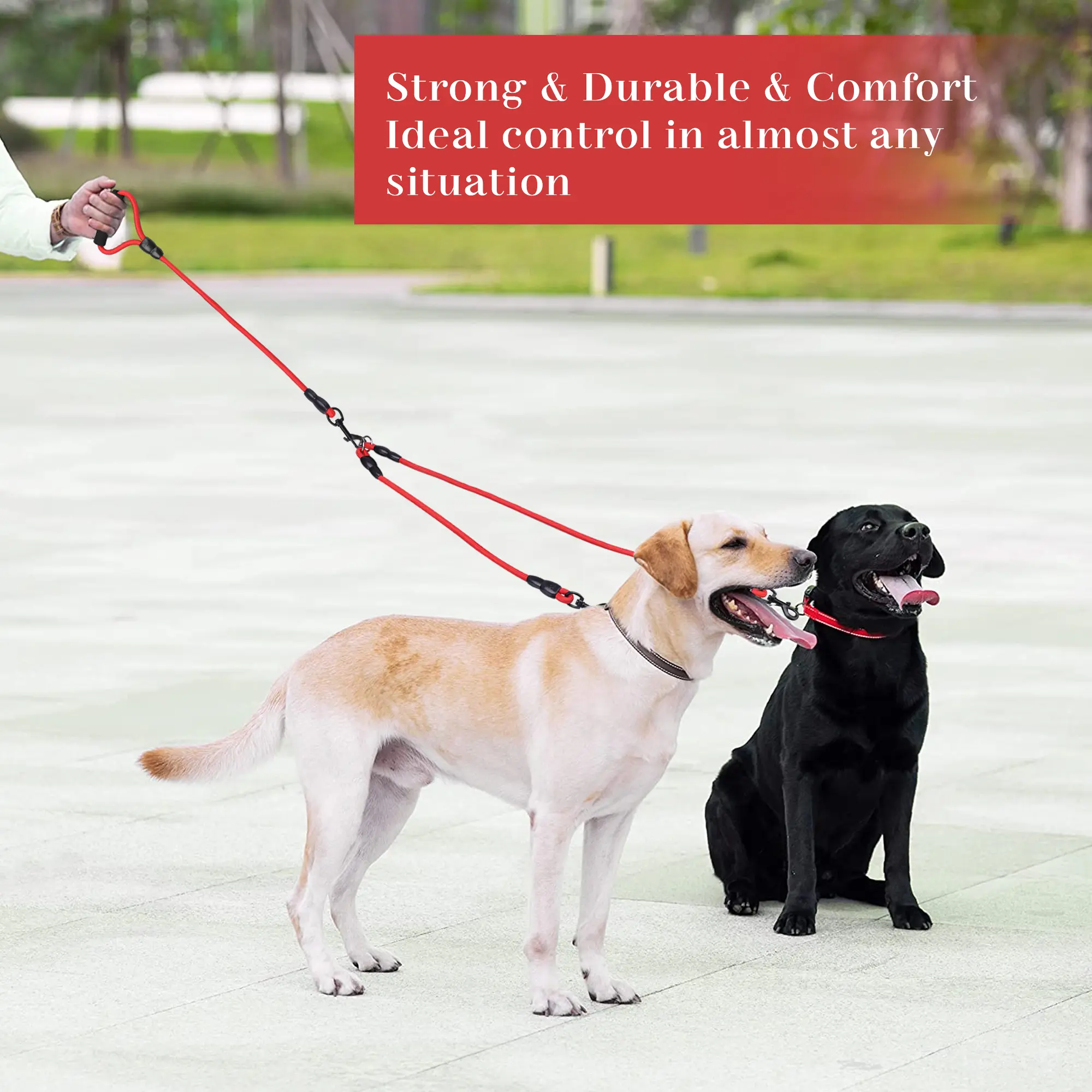 Double Ended Dog Leash - 59.05in Thick Nylon Rope, Padded Foam Handle, 360° Rotating Metal Clasp, Pet Accessory for Outdoor Daily Walking of 1 or 2 Dogs